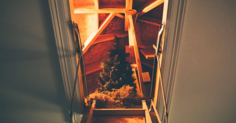 Attic - Fir Tree Decor