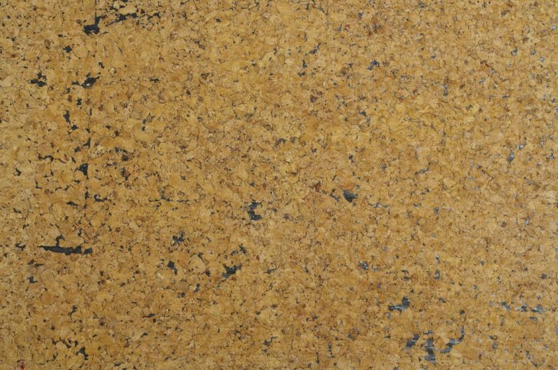 Cork Flooring - A close up view of a counter top