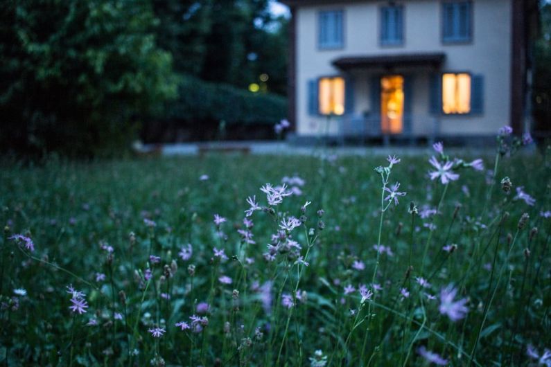 Attic Home - field of purple flower beside house